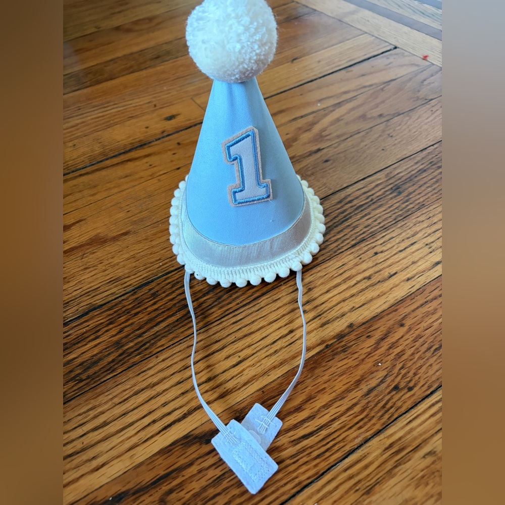 Blue Birthday Party Hat for Kids